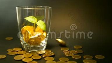 玻璃罐子里的金币和黑色背景上的<strong>嫩芽</strong>绿叶。 旋转，扭曲，旋转，旋转便士。
